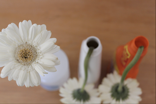 Figgy and Co science experiment showing that the flower remains upright in the natural bench spray vs the two chemical spray bottles where the flowers are bent over. 