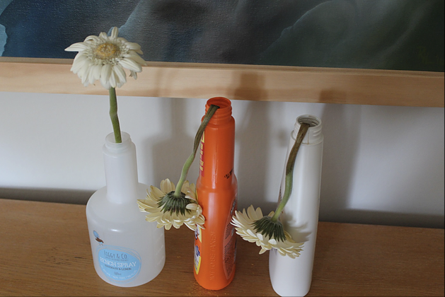 Figgy and Co science experiment showing that the flower remains upright in the natural bench spray vs the two chemical spray bottles where the flowers are bent over. 