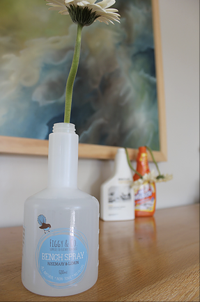 Figgy and Co science experiment showing that the flower remains upright sitting in the natural bench spray whereas it is bent over in the two chemical cleaning spray bottles