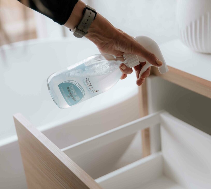 Eco home cleaning products