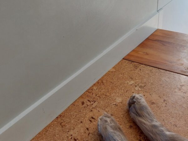 Cleaned Walls and Skirting Boards with Dogs Paws